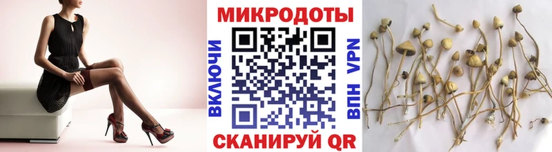 Галлюциногенные грибы прущие грибы  Аркадак 